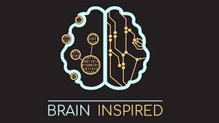 BI 079 Romain Brette: The Coding Brain Metaphor