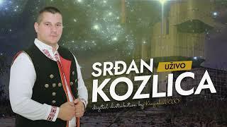 Srđan Kozlica - Soko - (Uživo 2023)