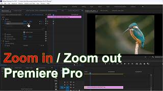 How to pan and zoom in premiere pro