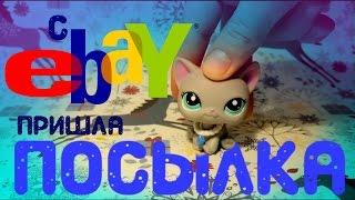 c Ebay пришла посылка/SOVA LPS