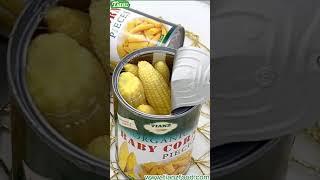 Mini Marvels in a Can: The World of Canned Baby Corn! | Support OEM&ODM | Tianz Food Factory #corn
