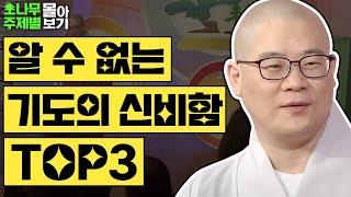 알 수 없는 기도의 신비함 TOP 3  [광우스님 소나무 주제별 몰아보기]