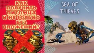 Как БЕСПЛАТНО получить питомца в Sea of thieves и не только | Гайд sea of thieves