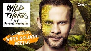 White Goliath Beetle | Wild Things with Dominic Monaghan (Season 1 Episode 3) | FULL EPISODE