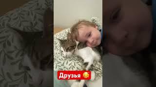 Друзья #малыш #дети #кот #baby #shorts