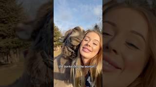 The donkey saved by love #shorts  #donkey #animals #heartwarming #love #cute #pet
