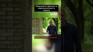 Поезд мчится через лес со скоростью 60 км ч в темноте