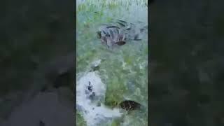 Relaxing with Phann Phuy Fishing