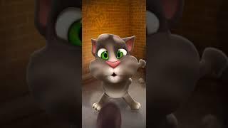 Talking Tom Cat New Video Best Funny Android GamePlay #8660