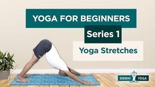 Yoga Stretches for Beginners (Sukshma Vyayama) by Yogi Sandeep - Siddhi Yoga