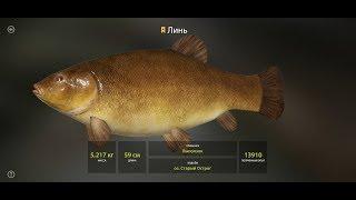 Russian Fishing 4 ТРОФЕЙЧИК НА ОСТРОГЕ ЛИНЬ