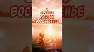 Очень красивое поздравление С Прощеным Воскресеньем в стихах от всей души 