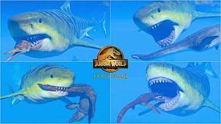 MEGALODON HUNTING ANIMATIONS VS ALL MARINE REPTILES | JURASSIC WORLD EVOLUTION 2