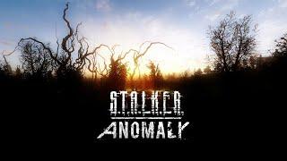 Малютка сталкер жестко поднялся (Stalker:Anomaly )