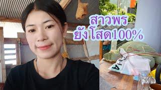 สาวพรบอกว่ายังโสด100%#บ่าวลาวพาเพลิน#11/9/24