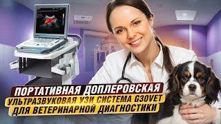 Портативная узи система G30VET для ветеринарной диагностики.