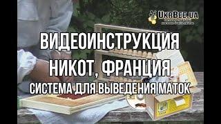 Никот Видеоинструкция система для выведения маток NICOT