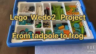 Lego Wedo2.0  Frog Project