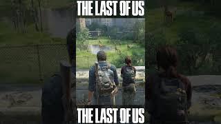 The last of us Nature Wild Life#borningame #shorts #tiktok