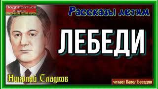 Лебеди— Николай Сладков —читает Павел Беседин