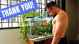 Relaxing Aquarium Fish Video | 2k Subs!