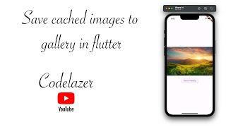 Save cached image flutter to gallery/camera roll in flutter