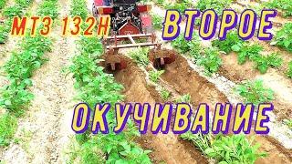 Второе,и возможно последнее,окучивание картофеля