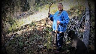 IDAHO MOUNTAIN BACKROADS, PEACE HARMONY, NO DRAMA, NO STRESS, COOL MOUNTAIN AIR, LOVE & FISH FENCES