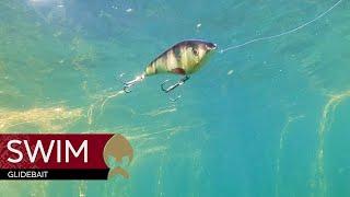 Swim Glidebait - Westin-Fishing