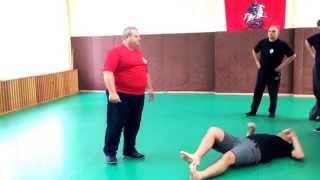 Systema "Grounding Strikes" with Mikhail Ryabko