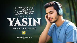 Surah Yasin (Yaseen) سورة يس | Lofi Quran Recitation to Cure Depression & Anxiety | Zikrullah TV