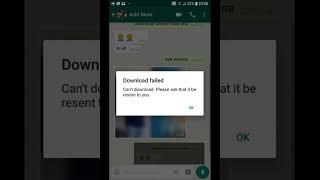 Whatsupp error-Cant download.Please ask that it be resent to u.