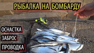 СПИНА УЖЕ БОЛИТ, А ЧЕХОНЬ ВСЕ КЛЮЕТ. ЖОР ЧЕХОНИ #рыбалка2023#бомбарда#ловля#чехонь