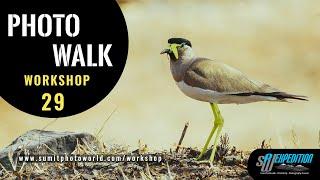 SPW Expedition Workshop 29: Photowalk - Nature and Birds