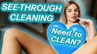 [4K] Transparent Cleaning Try On Haul — MILF Lingerie Routine