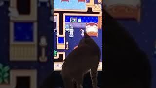 When the cat helps you play games  - this will shock you #shorts #shortsvideo