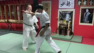 Shorin Kempo blocking based on To de ( Chinese Hand)