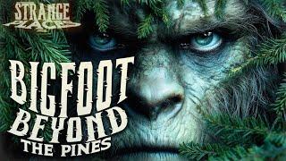 Bigfoot Beyond the Pines | Strange Places (New Jersey Pine Barrens)