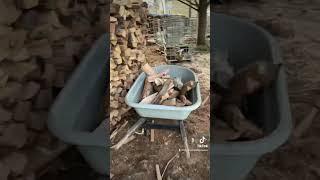 Firewood inventory wood yard tour #firewood #woodchips #wood