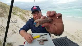 Dingle Dangle Baiting Part 1  - Building A Cut Bait The Right Way