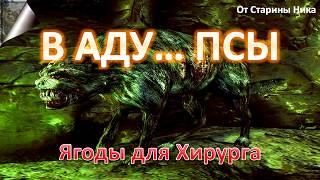 S.T.A.L.K.E.R. В Аду... Псы - Ягоды для Хирурга