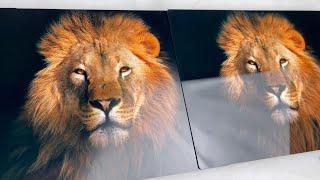 Introducing Satin HD Metal Prints!