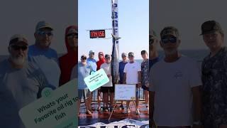 Pensacola international 2024 #fishing #fish #sportfishing #wahoo #oilrig
