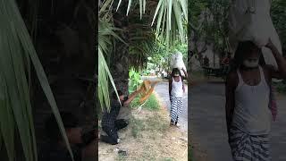 Fake Big Cobra Snake VS Grandpa Prank Part 4 #Emtiaz Bhuyan#Shorts