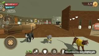 Акк на бессмертие в cat sim