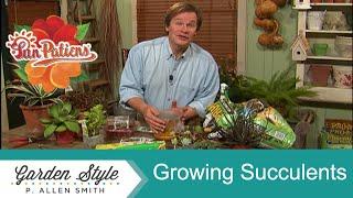 Growing Succulent and Cacti Varieties | Garden Style (915)