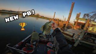 Do Minnows Work for BAIT?! - New Pb Caught!