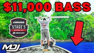 BIG BASS Of The Whole Tournament (Kentucky Lake Day 2)