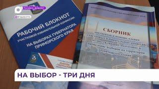 «Удобно для нас, избирателей»: выборы губернатора в Приморье продлятся три дня