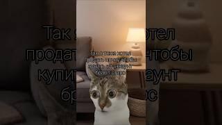 Мама купила аккаунт #shortvideo #мемы #cat #мем #shots #прикол #meme #mem #memes #kitten #shorts